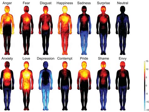 où nous ressentons nos émotions dans notre corps