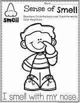 Senses Worksheets Preschoolers Sentidos Worksheet Ingles Playtime Planningplaytime Smelling Ears Tasting Absurdos sketch template