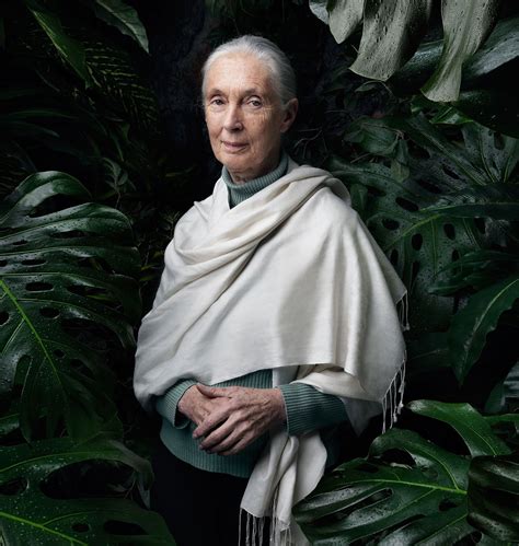 jane goodall the 100 most influential people of 2019 jane goodall