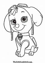 Paw Patrol Rocky Coloring Pages Getcolorings Printable Color Col Print sketch template