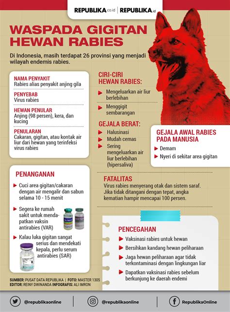 infografis awas gigitan hewan rabies republika