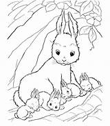 Coloring Pages Rabbit Bunny Baby Lapin Colorier Coloriage Et Pâques Choisir Tableau Un sketch template