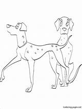 Coloring Dalmatian Dog Pages Getdrawings Puppy Dalmatians Color Getcolorings sketch template