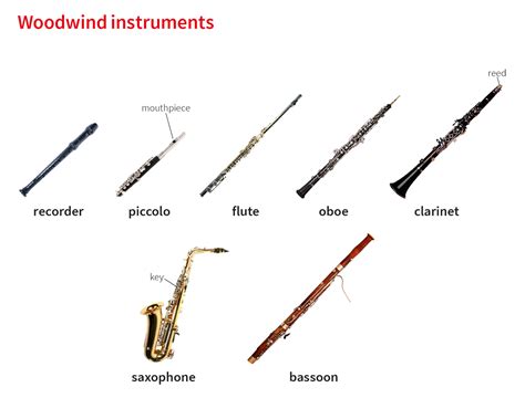 woodwind noun definition pictures pronunciation  usage notes oxford advanced learners