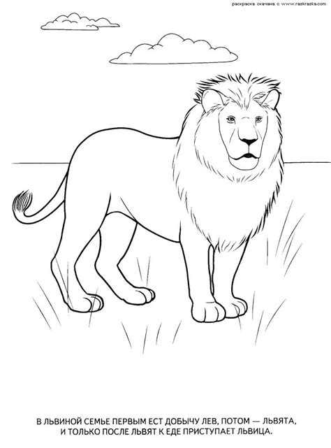 animals elephant coloring page animal coloring pages colouring pages