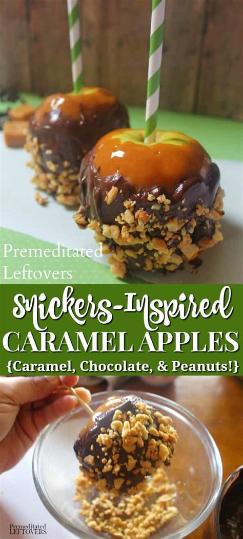 snickers inspired caramel apples recipe  gourmet caramel apple idea