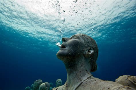 mirror amazing underwater photography