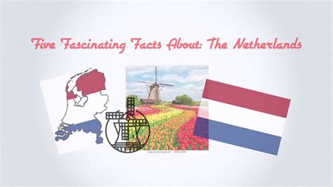 five fascinating facts about the netherlands youtube