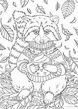 Raccoon Favoreads Racoon Colouring Adulte Ausmalbilder sketch template