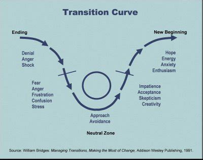 transition curve lifepluswork