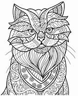 Feline Zoomer Cliquer sketch template