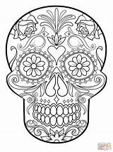 Suger Skulls sketch template