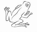 Frog sketch template