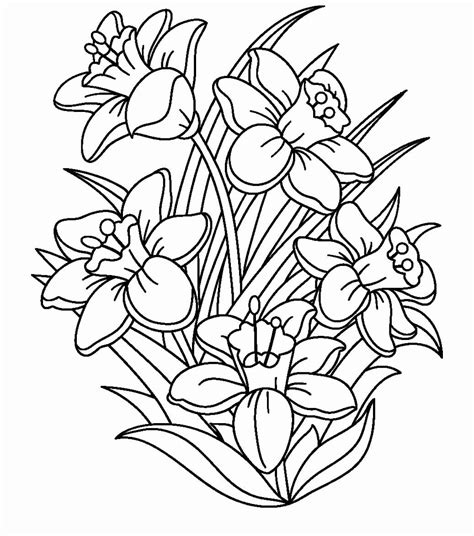 nature coloring book art luxury daffodils coloring designs coloring
