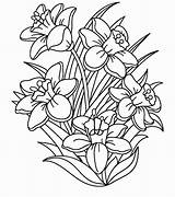 Daffodil Daffodils Books Slipper sketch template