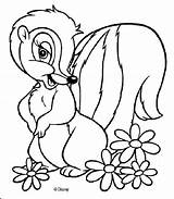 Coloring Pages Skunk Flower Bambi Popular Book sketch template