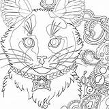 Coloring Tortoiseshell Cat Shell Tortoise Root Inspirations Adults Drawing Adult Pdf Getdrawings Printable sketch template