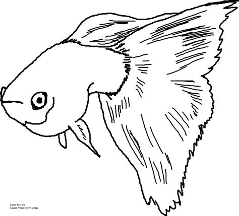 fancy guppy coloring page