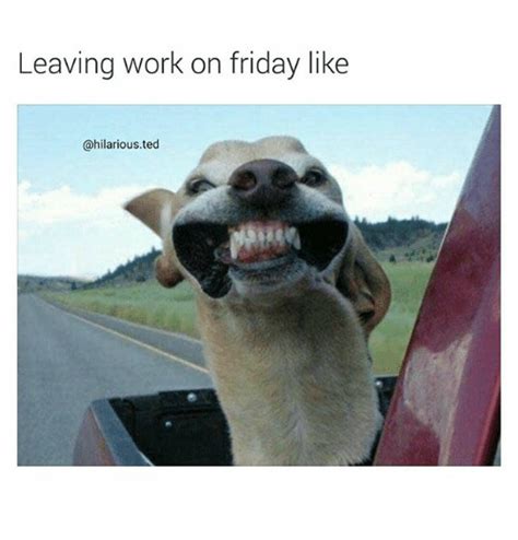 Leaving Work On Friday Like Ted Friday Meme On Me Me