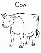 Cow Coloring Pages Kids Outline Printable Print Clipart Sheets Dairy Tracing Twistynoodle Designlooter Library sketch template