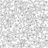 Antistress Coloration Fleurs Plumes sketch template