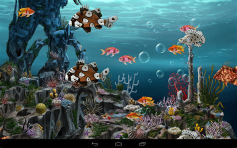 gambar wallpaper animasi ikan gudang wallpaper