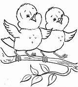 Coloring Pages Color Bird Drawings Book Loader End Front Birds Colouring Printable Print Drawing Animal Getdrawings Getcolorings Easter Easy Bonnie sketch template
