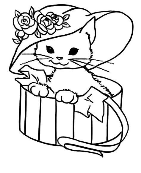 kitty cat coloring pages  getcoloringscom  printable colorings