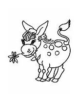 Donkey Coloring Pages Donkeys Flower Little Burro Printable Drawing Color Head Getdrawings Print sketch template