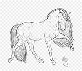 Horse Cheval Frison Poulain Colorare Drawings Gypsy Cavalli Getdrawings Standardbred Disegni Herd Cavallo Frisone Clydesdale Animals Foal Tête Arabian sketch template