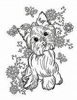 Yorkie Terrier Coloring Pages Elsharouni Cindy Dog Yorkshire Print Puppy Animal Cute Adult Bulldog Painting Printable Fineartamerica Choose Sheets French sketch template