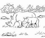 Rhino Coloring Pages Rhinoceros Printable Woolly Kids Color Print Getcolorings Samanthasbell Today Printables Template sketch template