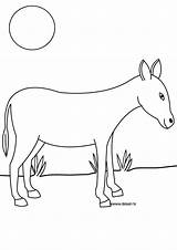 Donkey sketch template