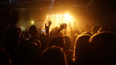 Free Images : music, light, crowd, audience, dance, stage, hands