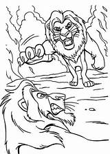 Lion King Coloring Pages Scar Mufasa Drawing Printable Getdrawings Lions Fighting Kovu sketch template