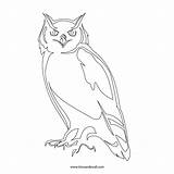 Owl Outline Stencil Printable Sketch Clipart Cliparts Coloring Silhouette Library Clip Board Template Drawings Comments Choose Navigation Post Coloringhome sketch template