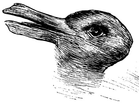 duck or rabbit the 100 year old optical illusion that