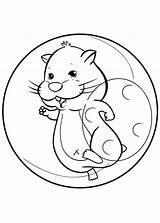 Hamster Coloringsky sketch template