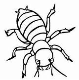 Beetle Bug sketch template