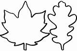 Leaf Template Leaves Printable Fall Templates Patterns Kids Outline Autumn Maple Easy Large Cutout Stencil Simple Oak Shape Stencils Coloring sketch template