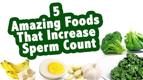 five 5 amazing foods that increase sperm count youtube