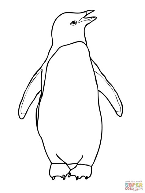 adelie penguin coloring page  printable coloring pages penguin