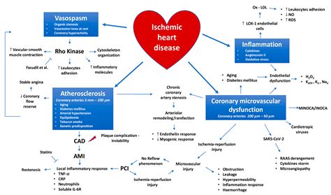 underlying pathologic process  coronary heart disease appears