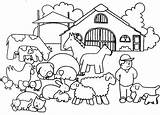 Boerderij Boerderijdieren Dieren Peuters Boer Pages Babydieren Afbeeldingsresultaat Tekeningen Terborg600 Kalfje Topkleurplaat Juf Downloaden Uitprinten sketch template