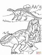 Coloring Dinosaur Iguanodon Pages Dinosaurs Carnotaurus Printable Print Animals Color Drawing Rex Template Animal Sheets Dinos Kleurplaten Puzzle sketch template