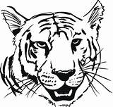 Tiger Coloring Head Getcolorings sketch template