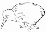Kiwi Bird Coloring Pages Print Animal sketch template