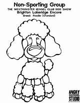Dog Show Kennel Westminster Club Coloring Pages Puppies Yorkshire Snoopy Terrier Poodle Brighton Dogs Comics sketch template