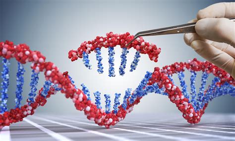 human genetic modification center  genetics  society