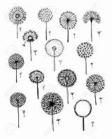 Sketch Dandelion Drawing Dandelions Seed Blowing Line Illustration Vector Head Fro Collection Stock Flower Flowers Getdrawings Anemone Royalty Shutterstock sketch template